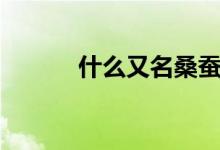 什么又名桑蠶（什么又名桑蠶）