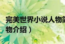 完美世界小說人物簡介文庫（完美世界小說人物介紹）
