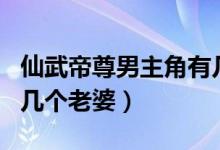 仙武帝尊男主角有幾個(gè)老婆（仙武帝尊男主角幾個(gè)老婆）