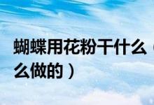 蝴蝶用花粉干什么（蝴蝶粉是用來干嘛的是什么做的）