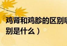 雞腎和雞胗的區(qū)別哪個好吃（雞腎和雞胗的區(qū)別是什么）