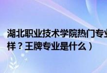 湖北職業(yè)技術(shù)學(xué)院熱門專業(yè)（2022年湖北職業(yè)技術(shù)學(xué)院怎么樣？王牌專業(yè)是什么）
