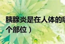 胰腺炎是在人體的哪個部位（胰腺炎在身體哪個部位）
