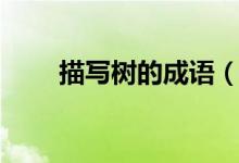 描寫樹的成語（什么成語是寫樹的）