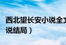 西北望長安小說全文免費閱讀（西北望長安小說結(jié)局）
