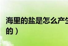 海里的鹽是怎么產(chǎn)生的（海里面的鹽是怎么來的）