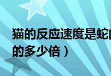 貓的反應(yīng)速度是蛇的7倍（貓的反應(yīng)速度是蛇的多少倍）