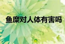 魚(yú)糜對(duì)人體有害嗎（魚(yú)糜對(duì)人體有什么害）