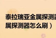 泰拉瑞亞金屬探測器哪個npc買（泰拉瑞亞金屬探測器怎么刷）