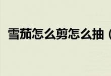 雪茄怎么剪怎么抽（雪茄怎么剪 怎么點(diǎn)燃）