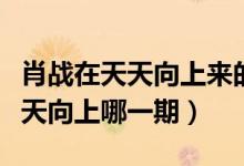 肖戰(zhàn)在天天向上來的時候是第幾期（肖戰(zhàn)在天天向上哪一期）