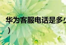 華為客服電話是多少?。ㄈA為客服電話是多少）