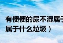 有便便的尿不濕屬于哪類垃圾（尿過(guò)的尿不濕屬于什么垃圾）