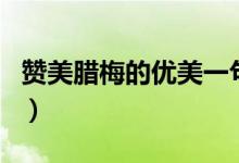 贊美臘梅的優(yōu)美一句話（贊美臘梅的優(yōu)美詩句）