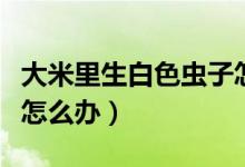 大米里生白色蟲子怎么辦（大米里生白色蟲子怎么辦）