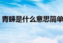青睞是什么意思簡(jiǎn)單的說（青睞是什么意思）