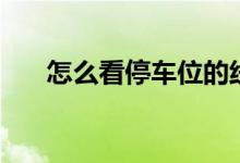 怎么看停車(chē)位的線（怎么看停表物理）