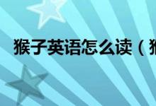 猴子英語(yǔ)怎么讀（猴子的英語(yǔ)單詞是什么）