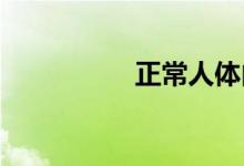 正常人體內有多少血液