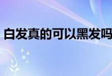 白發(fā)真的可以黑發(fā)嗎（白發(fā)真的可以轉黑嗎）