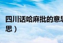 四川話哈麻批的意思（哈麻批四川話是什么意思）