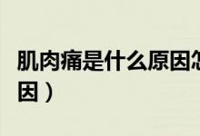 肌肉痛是什么原因怎么治療（肌肉痛是什么原因）