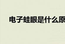 電子蛙眼是什么原型（電子蛙眼是什么）