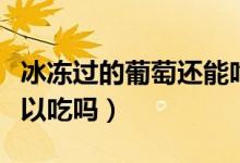 冰凍過的葡萄還能吃嗎（長時(shí)間冰凍的葡萄可以吃嗎）