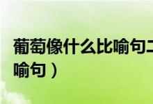 葡萄像什么比喻句二年級(jí)上冊(cè)（葡萄像什么比喻句）