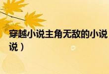穿越小說主角無敵的小說（有什么主角很色很無敵穿越的小說）