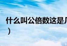 什么叫公倍數(shù)這是幾年級學(xué)的（什么叫公倍數(shù)）