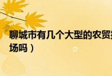 聊城市有幾個(gè)大型的農(nóng)貿(mào)批發(fā)市場(chǎng)（山東聊城有大型批發(fā)市場(chǎng)嗎）