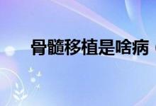 骨髓移植是啥病（骨髓移植是手術嗎）