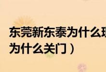 東莞新東泰為什么現(xiàn)在無人問津（東莞新東泰為什么關(guān)門）