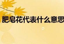 肥皂花代表什么意思?。ㄋ头试砘ㄊ裁匆馑迹?class=