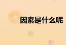 因素是什么呢（因素是什么意思）