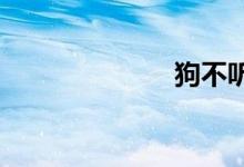 狗不聽話打哪里