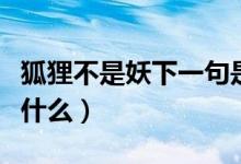 狐貍不是妖下一句是啥（狐貍不是妖下一句是什么）