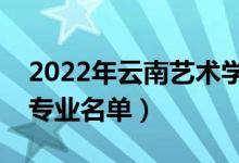 2022年云南藝術學院有哪些專業(yè)（國家特色專業(yè)名單）