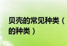 貝殼的常見種類（貝殼的種類 都有什么不同的種類）