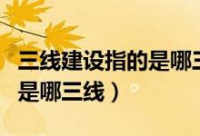三線建設指的是哪三線攀枝花（三線建設指的是哪三線）