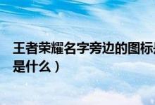 王者榮耀名字旁邊的圖標(biāo)是什么（王者榮耀名字旁邊的圖標(biāo)是什么）