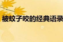 被蚊子咬的經(jīng)典語(yǔ)錄（被蚊子咬的經(jīng)典語(yǔ)錄）