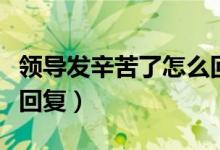 領(lǐng)導(dǎo)發(fā)辛苦了怎么回信息（領(lǐng)導(dǎo)發(fā)辛苦了怎么回復(fù)）