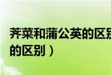 薺菜和蒲公英的區(qū)別圖片對(duì)比（薺菜和蒲公英的區(qū)別）