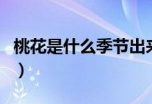 桃花是什么季節(jié)出來(lái)的（桃花是什么季節(jié)開(kāi)的）