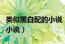 類似黑白配的小說（有沒有和黑白配差不多的小說）