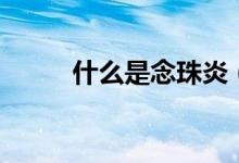 什么是念珠炎（什么是念珠菌?。?class=