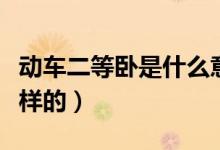 動(dòng)車二等臥是什么意思?。▌?dòng)車二等臥是什么樣的）