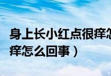 身上長小紅點很癢怎么治療（身上長小紅點很癢怎么回事）
